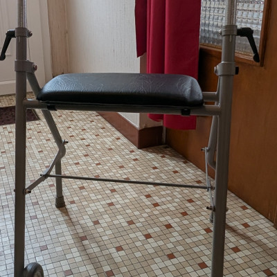 Image(s) de l'annonce Déambulateur 2 roues