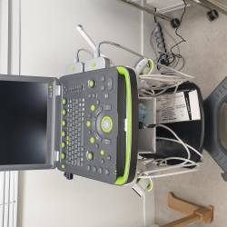 Echographe wisonic Clover