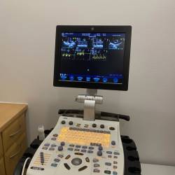 Vente échographe GH VIVID S5